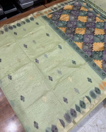 Muga Cotton Saree with Multicolour Pallu - 4